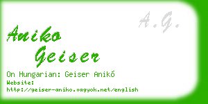aniko geiser business card